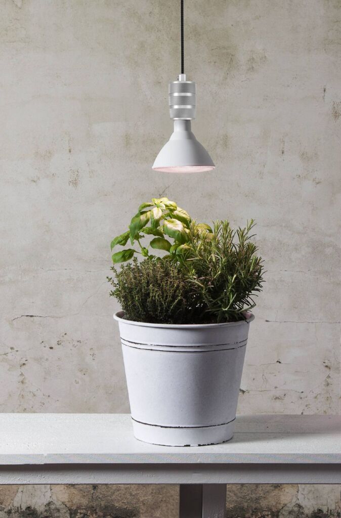 Žárovka pro zářivý růst Vašich rostlin