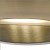 Nástěnné LED svítidlo 2209AB Searchlight
