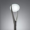 Pouliční LED lampa XVEGA 4000K VG01NW DG s kytím IP65