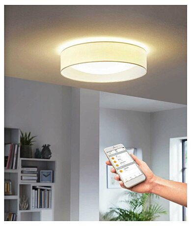 Stropní LED svítidlo PALOMARO-S Eglo 95627