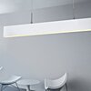 Závěsné LED svítidlo Ozcan 5662-2A white