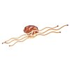 Stropní LED svítidlo Ozcan 5639-6 rose gold