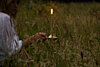 Nabíjecí stolní LED lampička WICK GP2043-B, Graypants