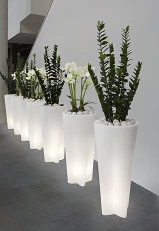 Lampa Flower IN 10053