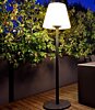 Exteriérová lampa Pino 9979 tmavě šedá Redo Group