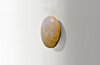 Nástěnné LED svítidlo AZ2714 Ancona Wood S 13,5cm Azzardo