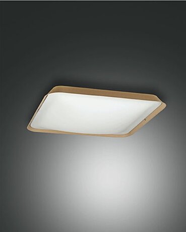 Stropní LED svítidlo 3645-61-355 25x25 HUGO Fabas
