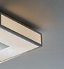 Stropní koupelnové LED svítidlo Ego 01-1237 Redo Group