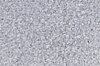Stropní svítidlo Azzardo Sugar 52 top AZ0450