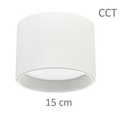 Stropní světlo 61008516 CCT Elen průměr 15cm