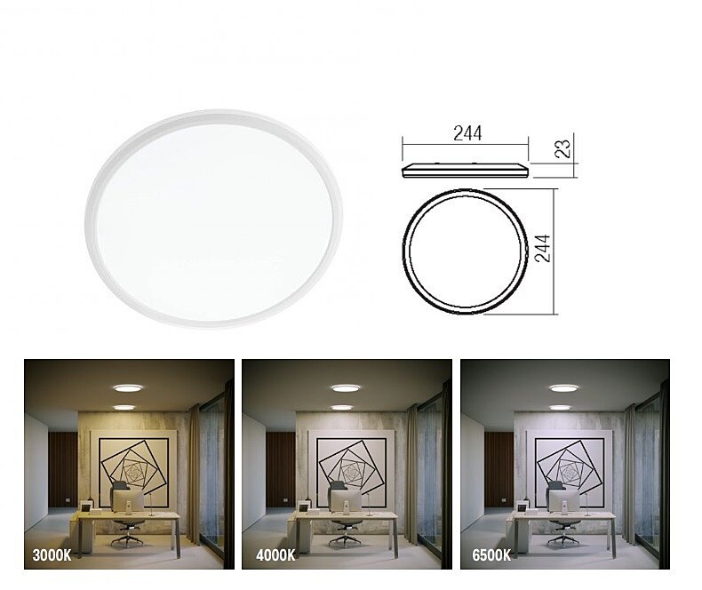 Stropní LED světlo Memo 05-942 CCT15W Redo Group