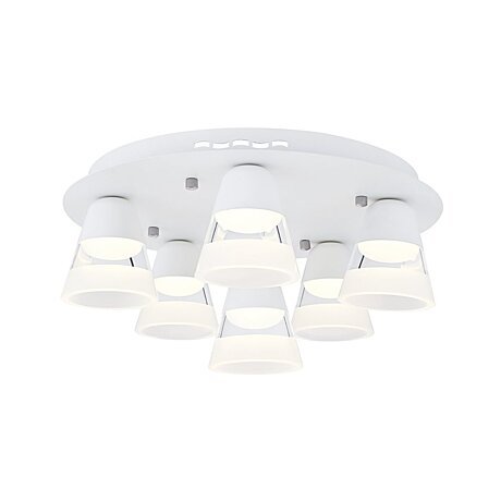 Stropní LED svítidlo Ozcan 5353-6 white