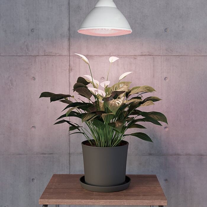 Žárovka pro podporu růstu květin 110232