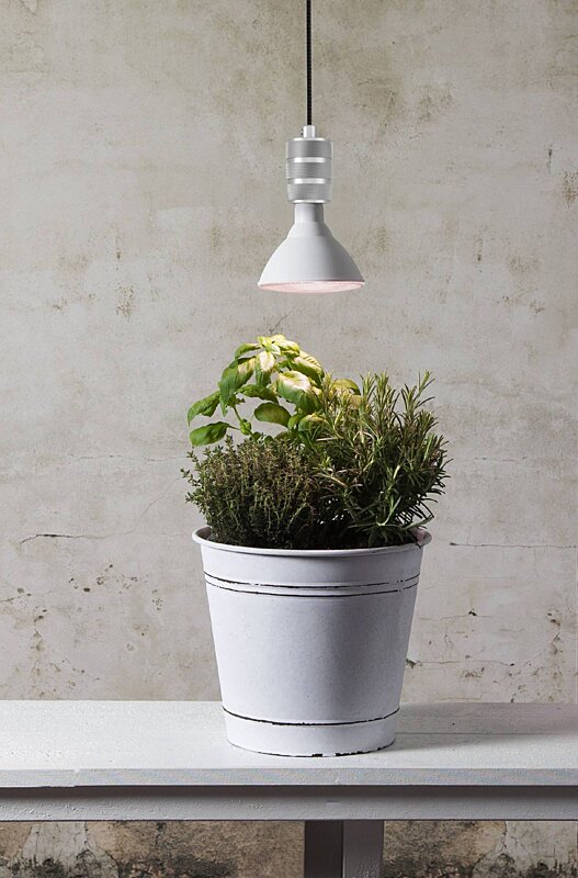 žárovka pro růst rostlin