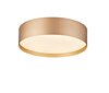 LED světlo Sofie 61004600 pr.40cm Palnas