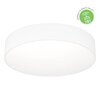 Stmívatelné světlo 901906 pr.39cm RGB+TW Eglo Gallizzi-Z