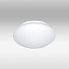 Stropní svítidlo Ozcan 5082 white